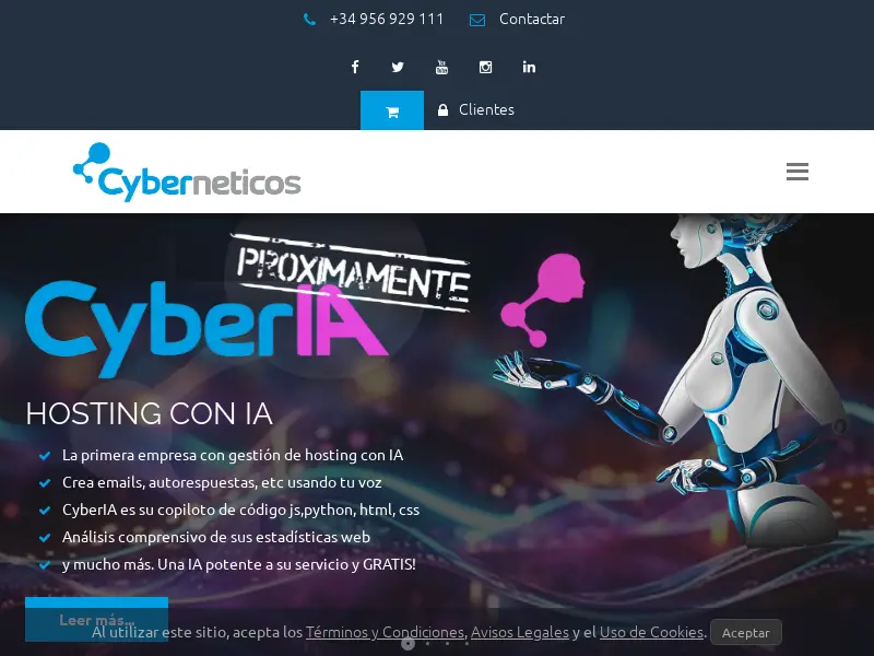 cyberneticos.com