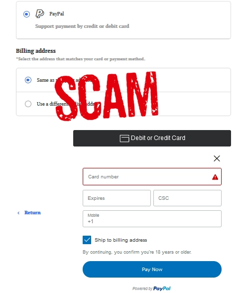 scam sites can use paypal, crypto or even stripe as their gateway.