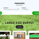 paradizedpoutryfarm.co.za